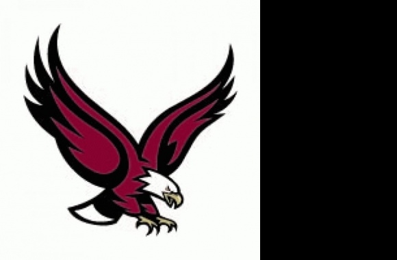 Boston_College_Eagles115[1] Logo